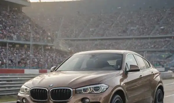 Unleash the Full Potential of Your BMW X6