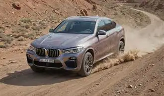 Elevate Your Everyday Drives in the BMW X6