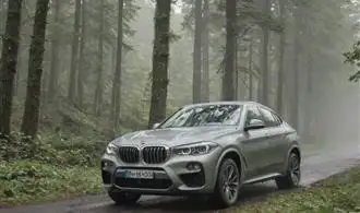 Maximize Your BMW X6s Fuel Efficiency and Eco-Friendly Performance