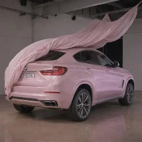 BMW X6 - Cushioning the Unexpected