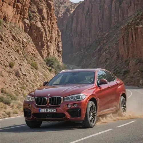 BMW X6 - Responsive Braking for Quick Reactions