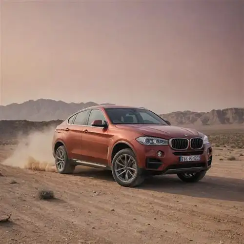 BMW X6 - The Unique and Attention-Grabbing Details